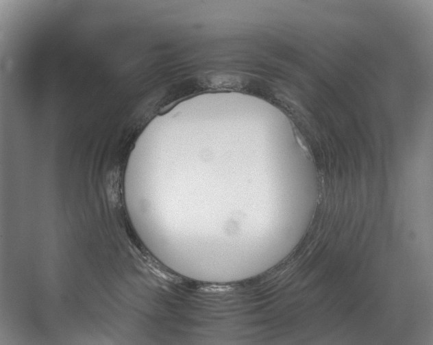 X0000072500189200607140946