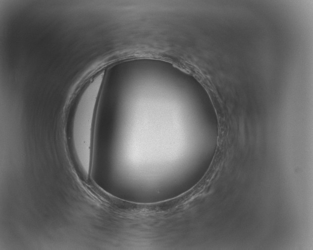 X0000072500197200607140945