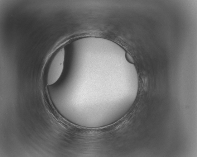 X0000072500198200607140945