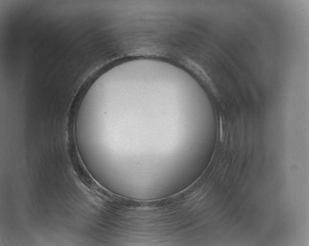 X0000072500204200607140945