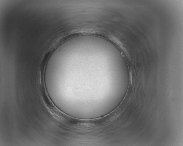 X0000072500205200607140945