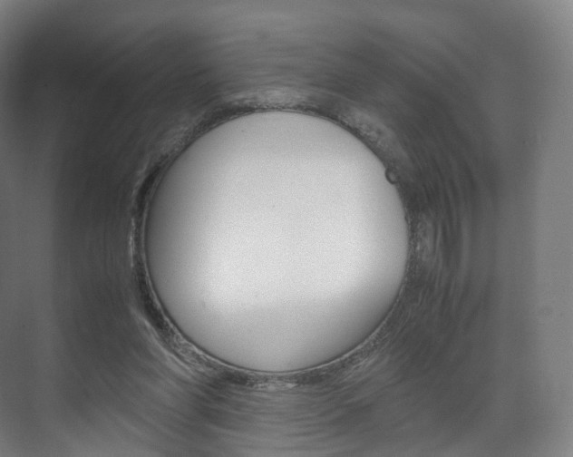 X0000072500206200607140945