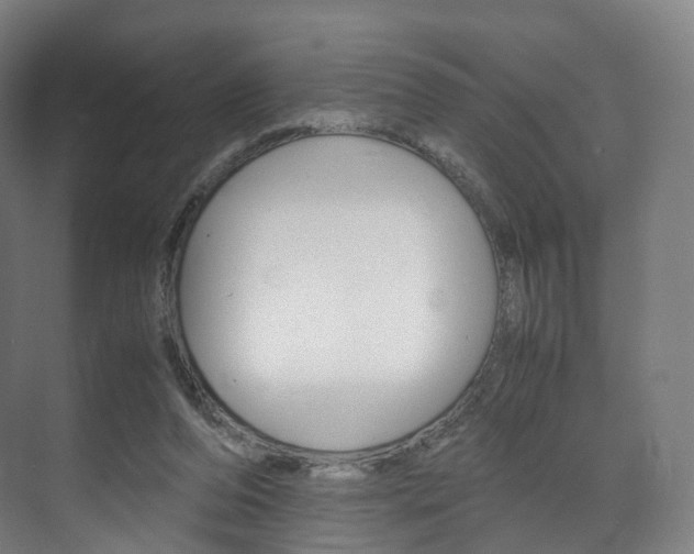 X0000072500208200607140945
