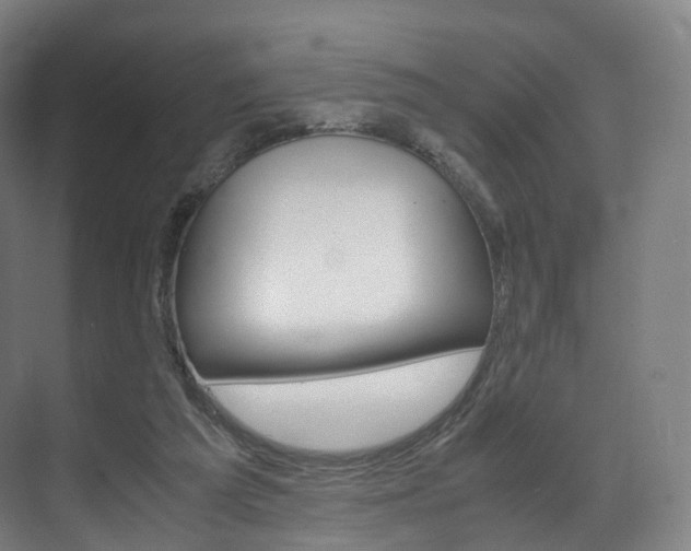 X0000072500209200607140945