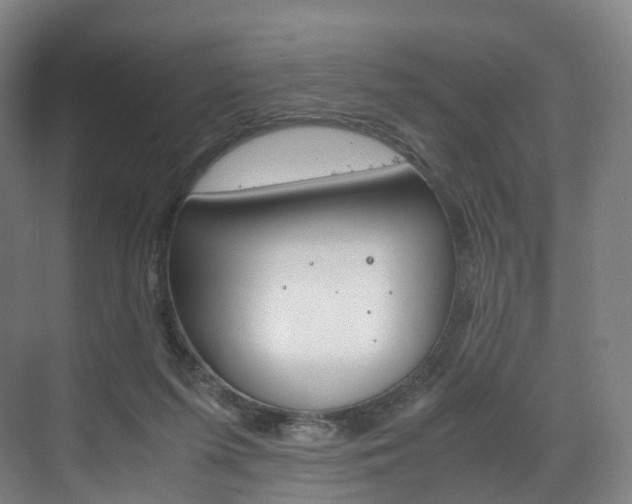 X0000072500215200607140944