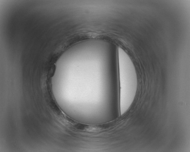 X0000072500221200607140944