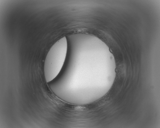 X0000072500222200607140944