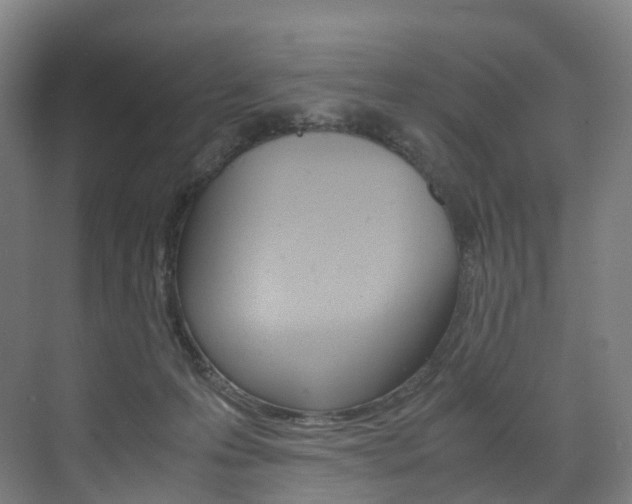 X0000072500223200607140944