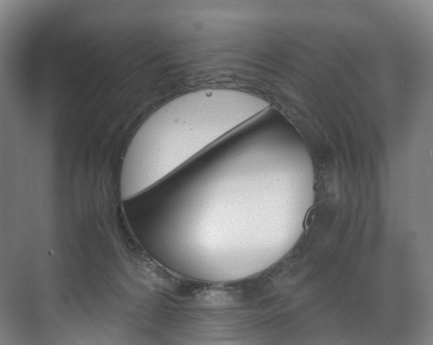 X0000072500224200607140944