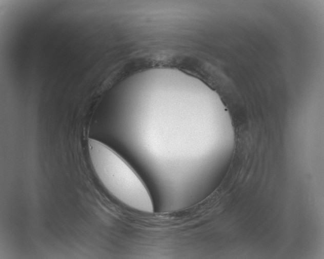 X0000072500225200607140944