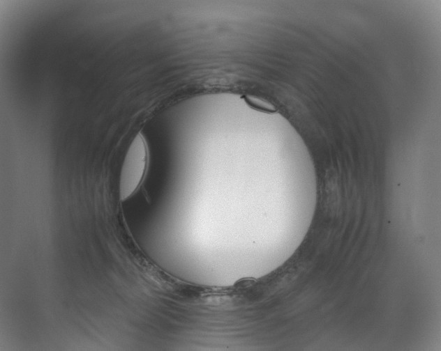 X0000072500228200607140944