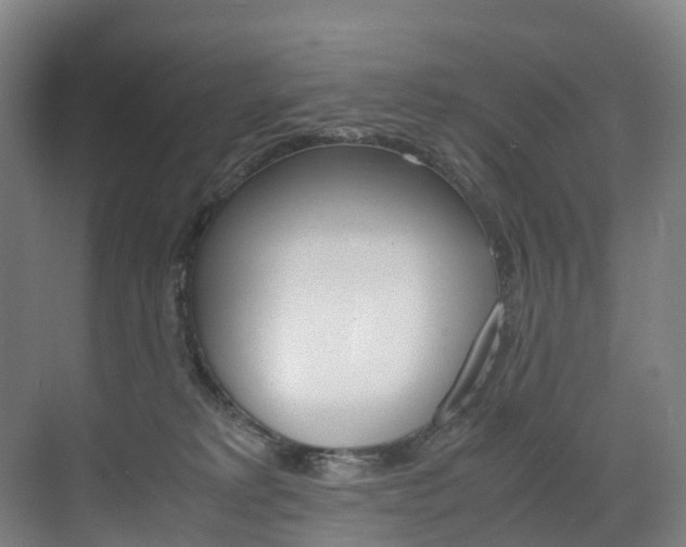 X0000072500229200607140944