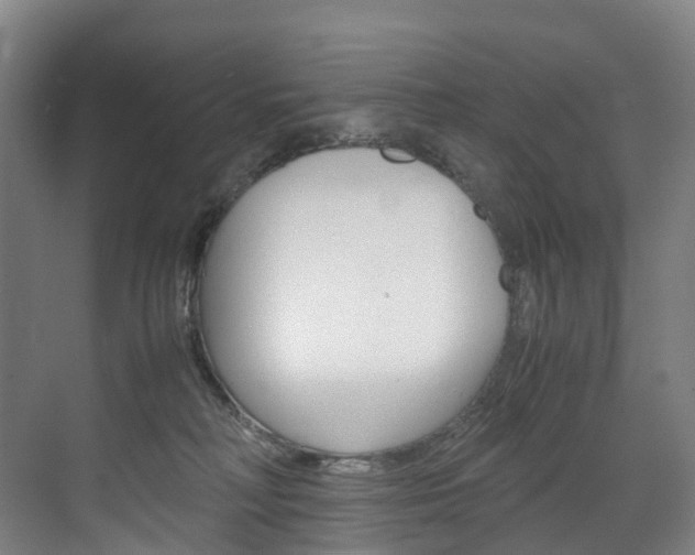 X0000072500230200607140944