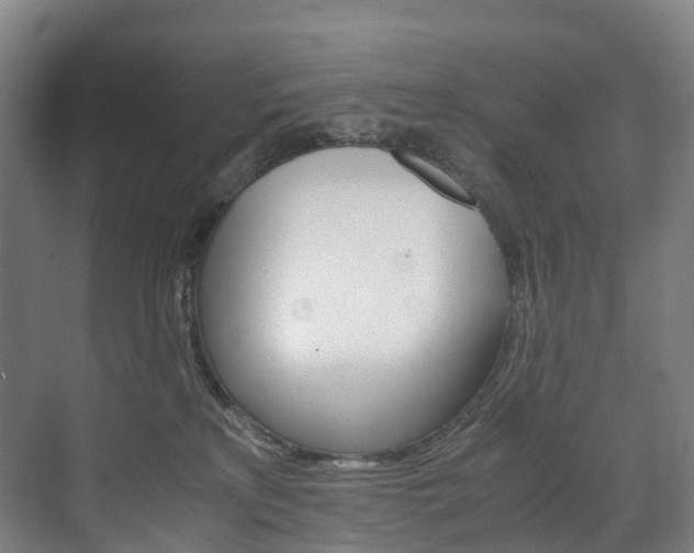 X0000072500233200607140944