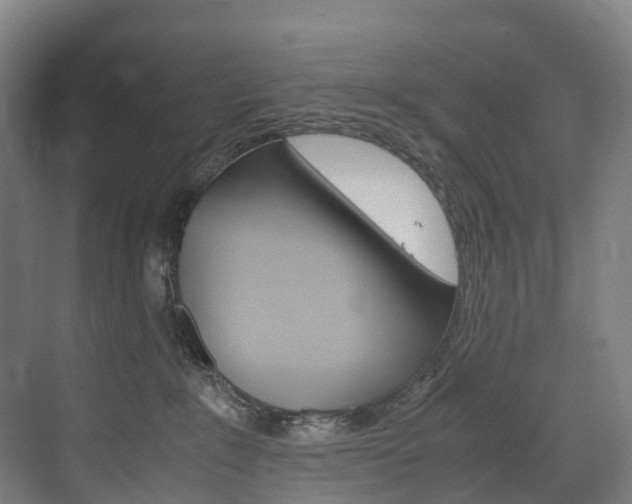 X0000072500235200607140944