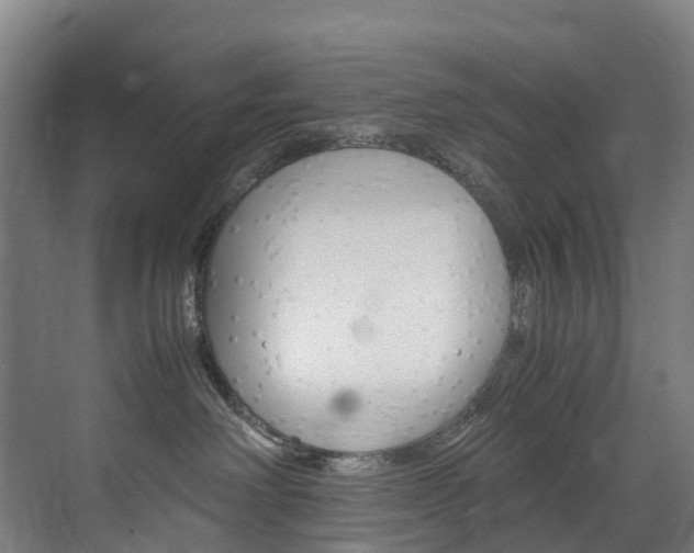 X0000072500238200607140944