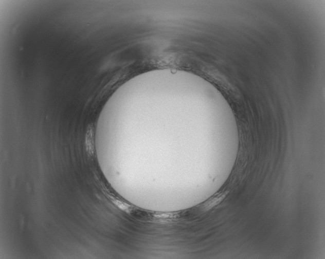 X0000072500240200607140944