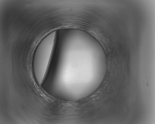 X0000072500241200607140943