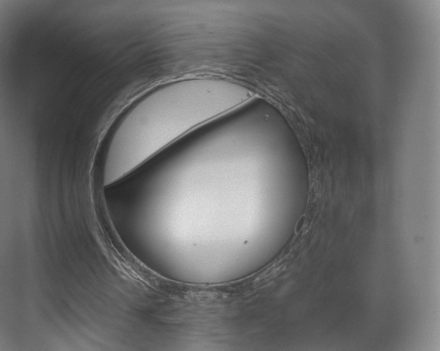 X0000072500242200607140943