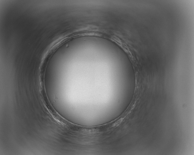 X0000072500245200607140943