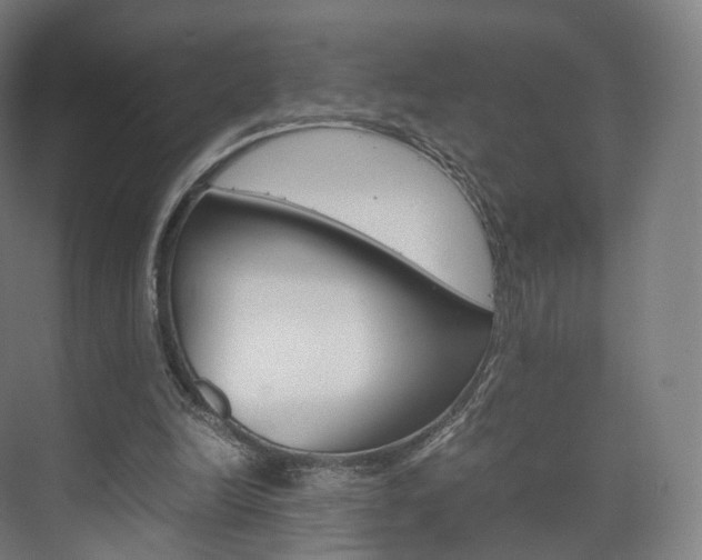 X0000072500246200607140943