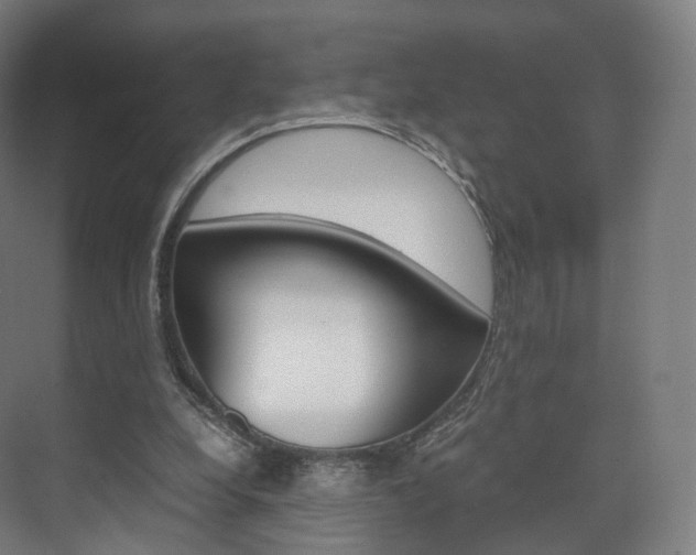 X0000072500248200607140943