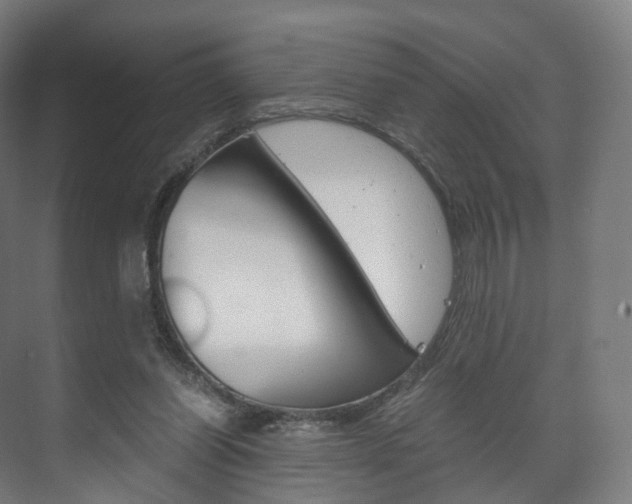X0000072500254200607140943
