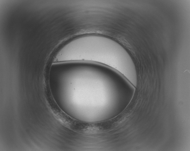 X0000072500256200607140944