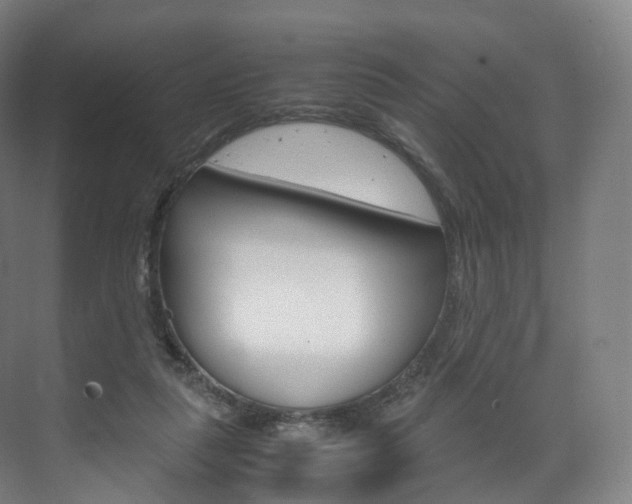 X0000072500259200607140944