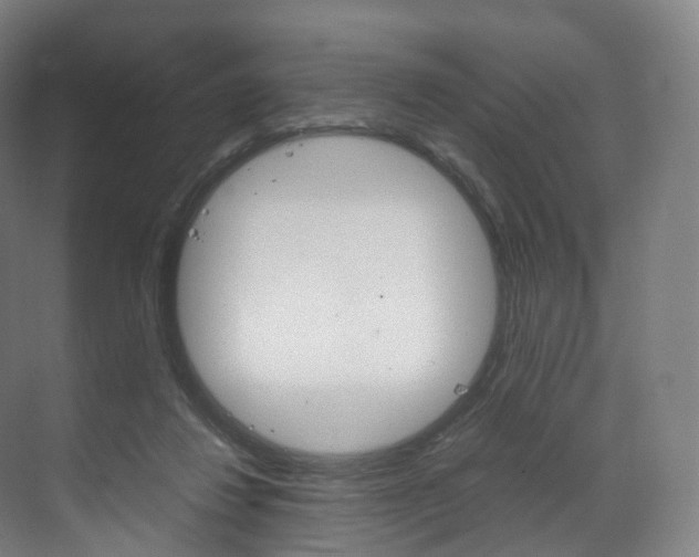 X0000072500260200607140944