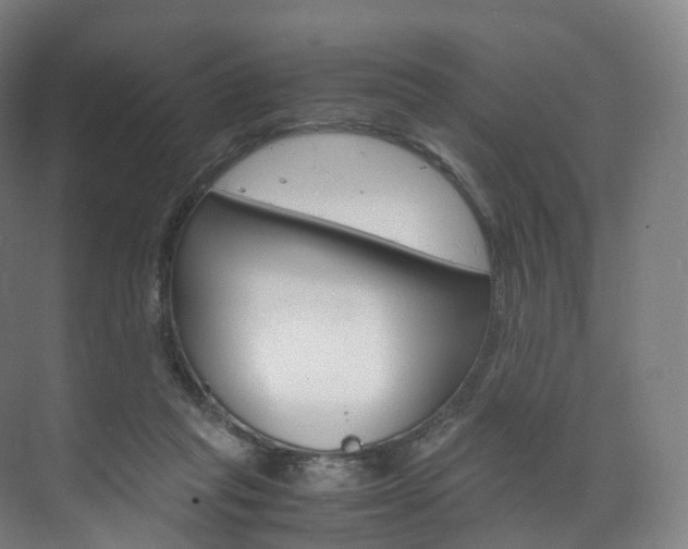 X0000072500261200607140944