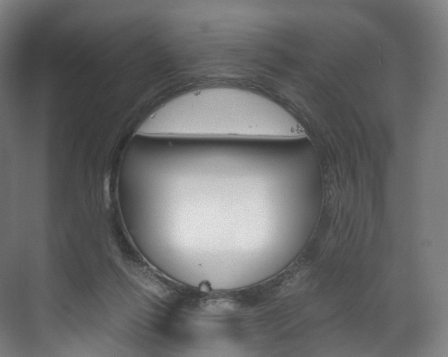 X0000072500262200607140944