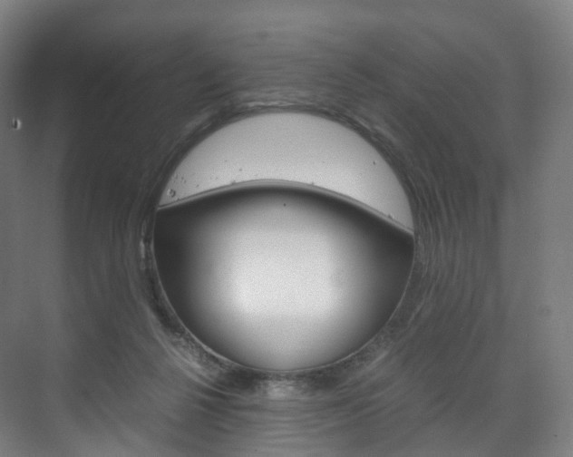 X0000072500264200607140944