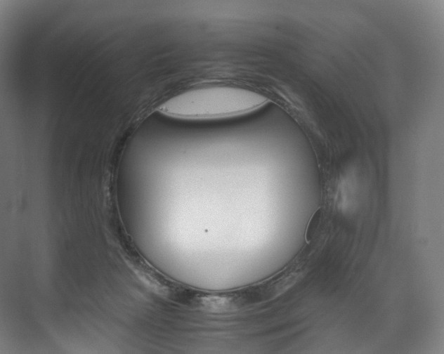 X0000072500265200607140944