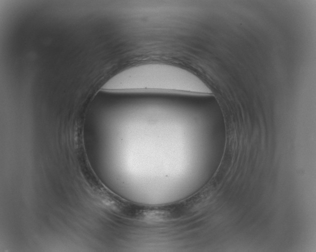 X0000072500268200607140944