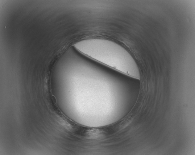X0000072500269200607140944