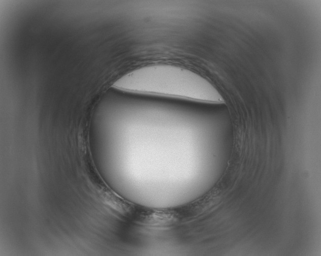 X0000072500270200607140944