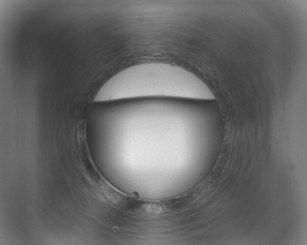 X0000072500272200607140944