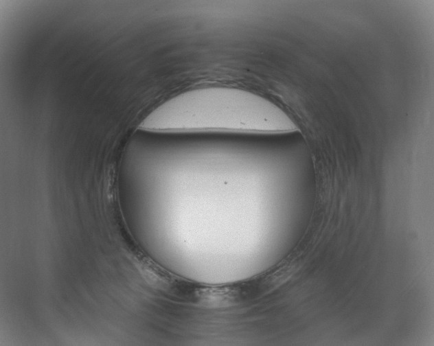 X0000072500273200607140944