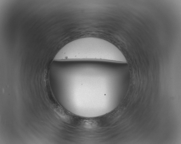 X0000072500275200607140944