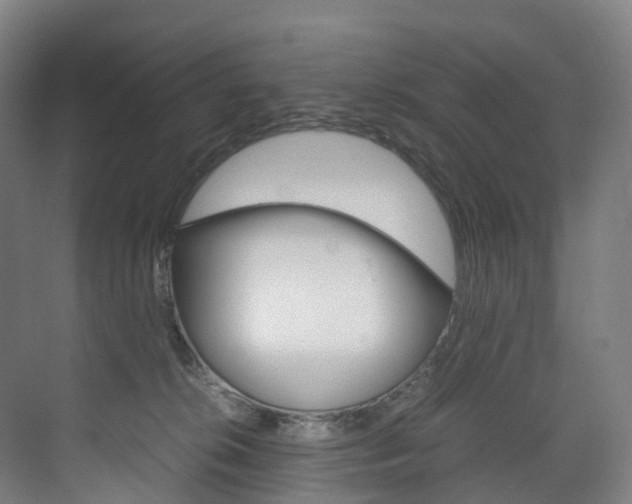 X0000072500276200607140944