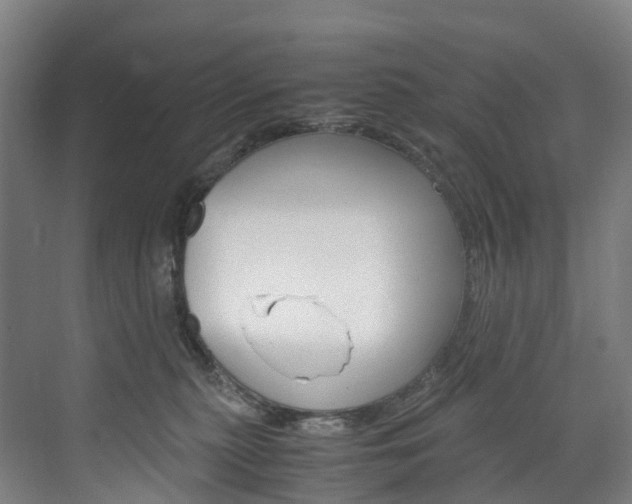 X0000072500279200607140944