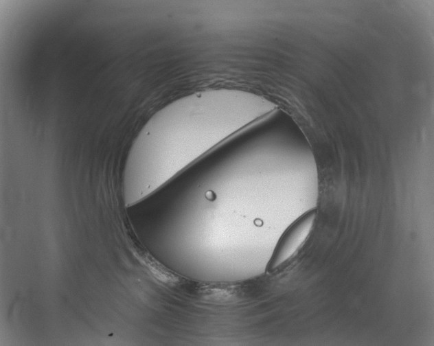 X0000072500285200607140944