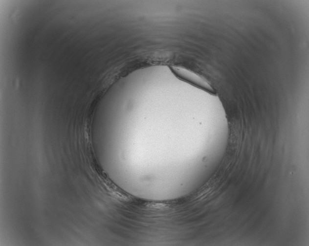 X0000072500287200607140944