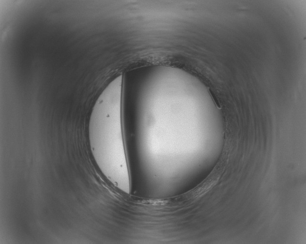 X0000072500288200607140944