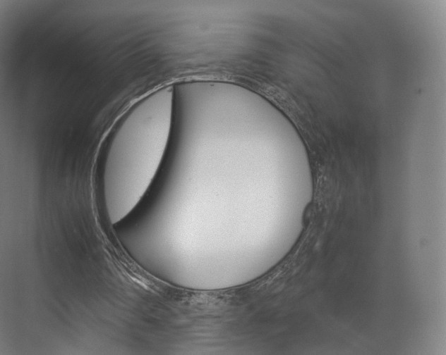 X0000072500290200607140943