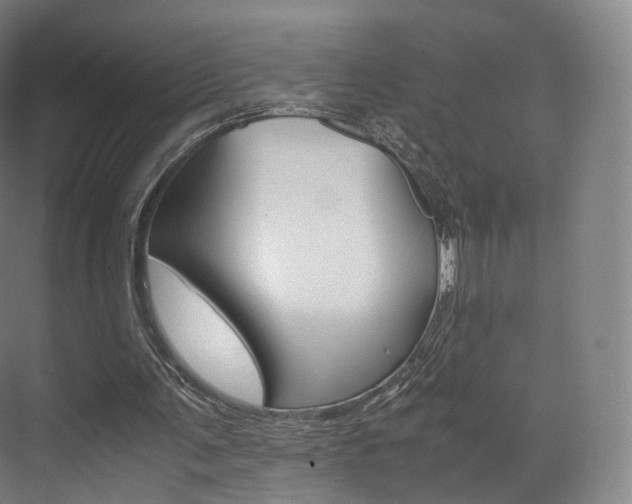 X0000072500291200607140943