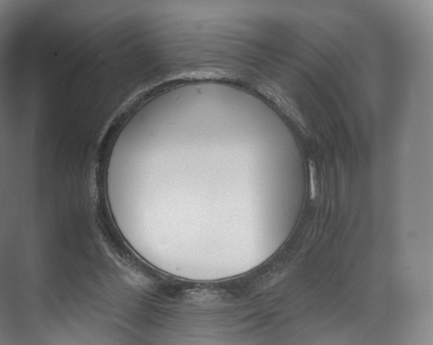 X0000072500300200607140943