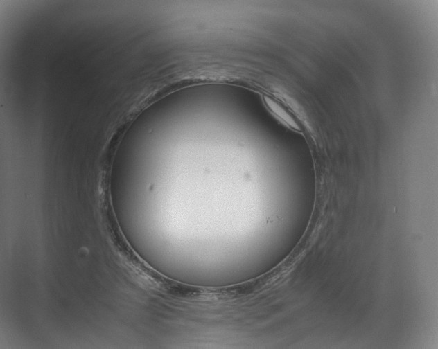 X0000072500305200607140943