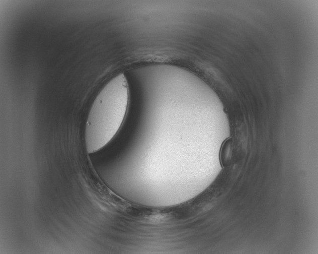X0000072500312200607140943